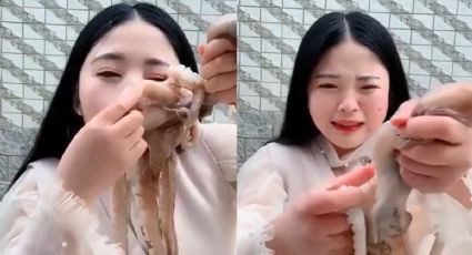 Pulpo ataca a influencer que estaba lista para comérselo (VIDEO)