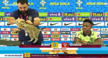 VIDEO: Vinicius jr es interrumpido por un gato en rueda de prensa y lo sacan de la peor forma 