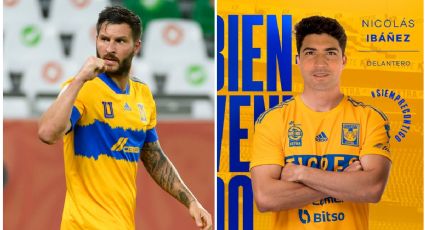 Nicolás Ibáñez: Tigres tendrá a los últimos tres campeones de goleo de la Liga MX tras firmar al argentino