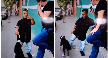 VIDEO: Medio Metro patea a un perro y se lleva las críticas de las redes sociales