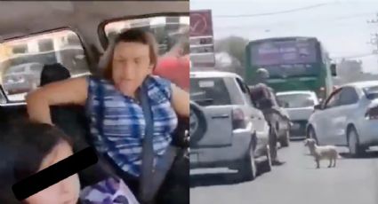 Exhiben a mujer que abandonó a sus perros en plena vía pública; recibe críticas de usuarios (VIDEO)