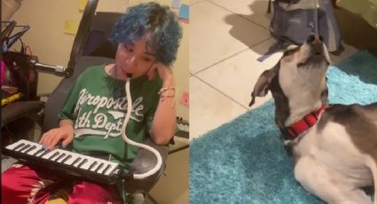 Perro 'canta' canción del Trono de México y se vuelve viral en TikTok (VIDEO)