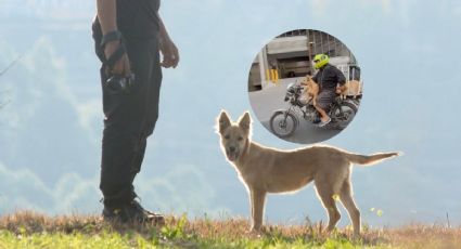 Hombre causa sensación en redes al pasear a sus perros en su motocicleta (VIDEO)